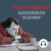 Stefan Waghubinger, Aussergewöhnliche Belastungen