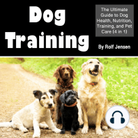 Dog Training