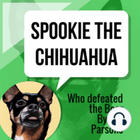 Spookie The Chihuahua 