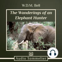 The Wanderings of an Elephant Hunter