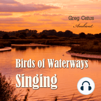 Birds of Waterways Singing