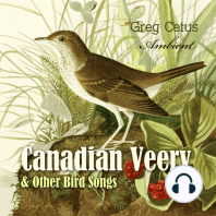 Canadian Veery and Other Bird Songs
