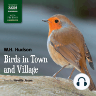 Birds in Town and Village
