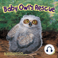 Baby Owl's Rescue