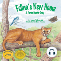 Felina's New Home