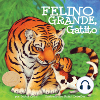 Felino grande, gatito