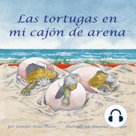 Las tortugas en mi cajón de arena