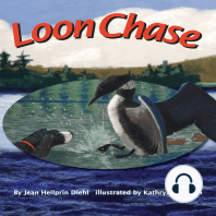 Loon Chase