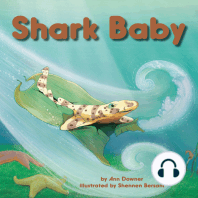 Shark Baby