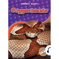 Copperheads