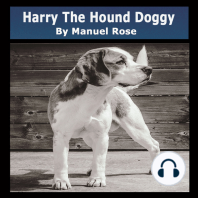 Harry The Hound Doggy