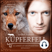 Kupferfell, Episode 5 - Fantasy-Serie