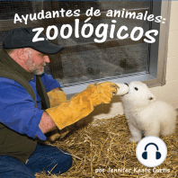 Ayudantes de animales