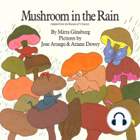Mushroom in The Rain