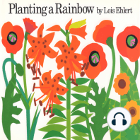 Planting a Rainbow