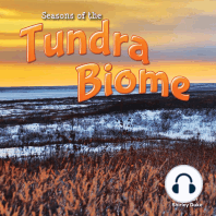 Seasons Of The Tundra Biome