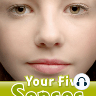 Your Five Senses