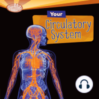 Your Circulatory System