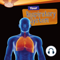 Your Respiratory System