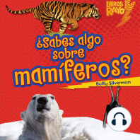 ¿Sabes algo sobre mamíferos? (Do You Know about Mammals?)