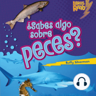 ¿Sabes algo sobre peces? (Do You Know about Fish?)