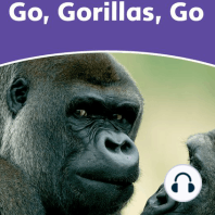 Go, Gorillas, Go