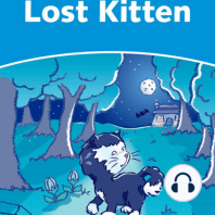 Lost Kitten