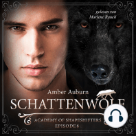 Schattenwolf, Episode 6 - Fantasy-Serie