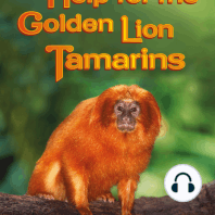 Help for the Golden Lion Tamarins