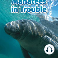 Manatees in Trouble