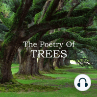 The Poetry Of Trees