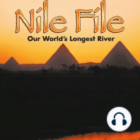 The Nile File