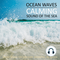 Calming Ocean Waves / Beruhigende Ozean Wellen / Sound Of The Sea / Sanftes Meeresrauschen