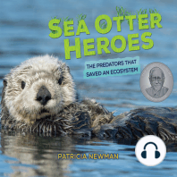 Sea Otter Heroes