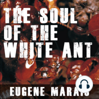 The Soul of the White Ant