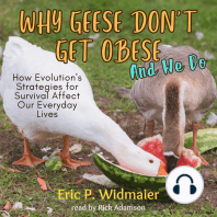 Why Geese Don't Get Obese