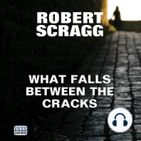 What Falls Between the Cracks