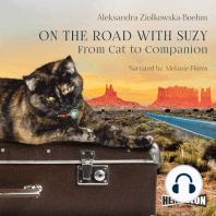 On the Road with Suzy