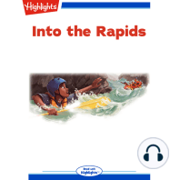 Into the Rapids