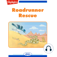 Roadrunner Rescue