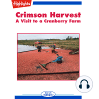 Crimson Harvest