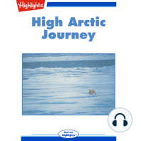 High Arctic Journey