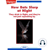 How Bats Slurp at Night