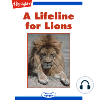 A Lifeline for Lions