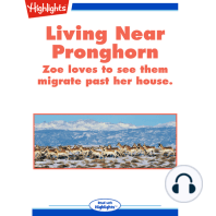 Living Near Pronghorn