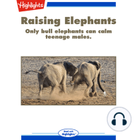 Raising Elephants