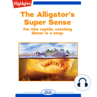 The Alligator's Super Sense