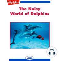 The Noisy World of Dolphins