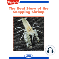 The Real Story of the Snapping Shrimp