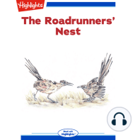 The Roadrunners' Nest